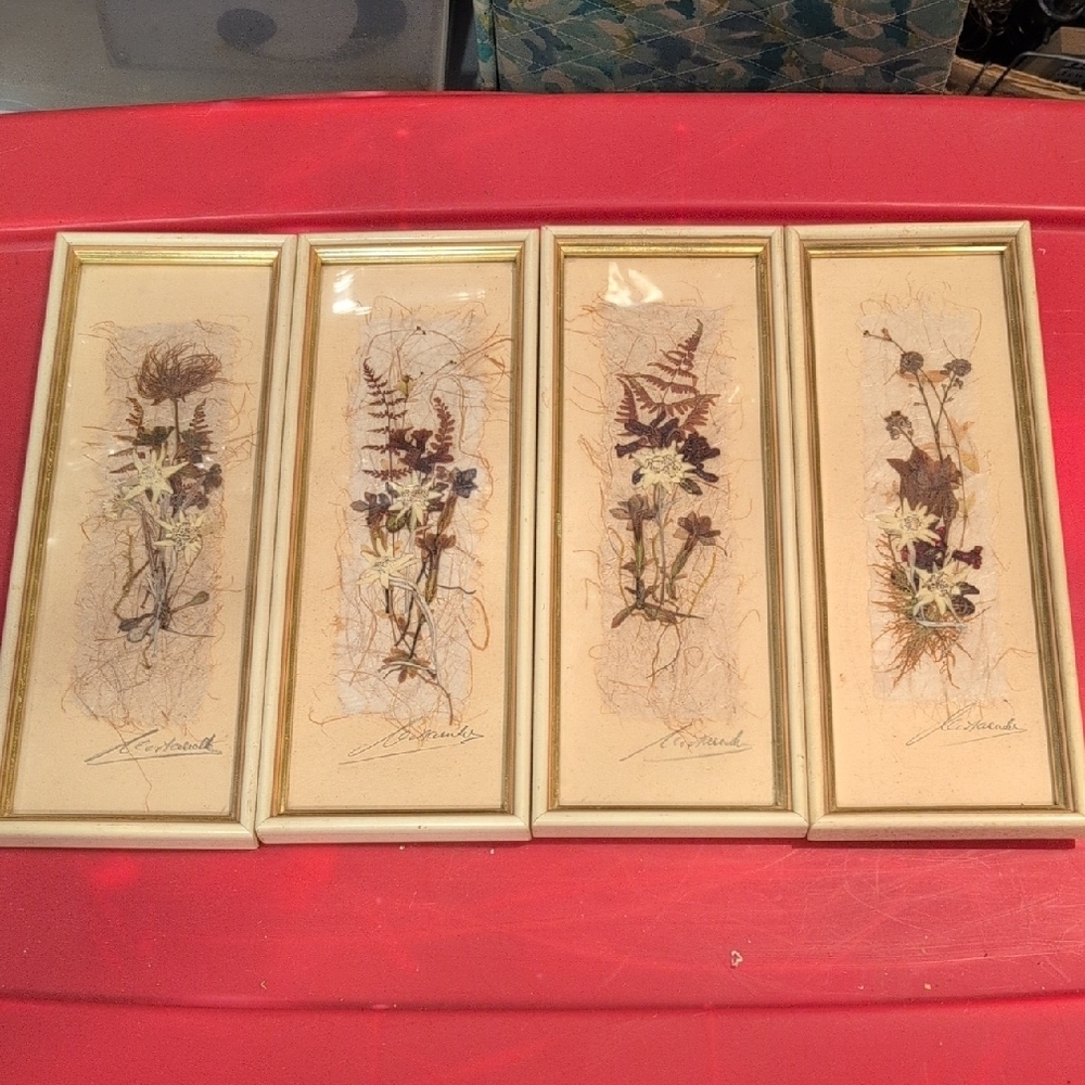 Vintage Botanical Framed Art Set original von Relly Mailaender